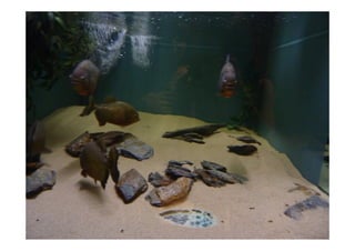 Imagens da Viagem ao Alentejo 1