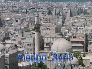 Aleppo  Syria  