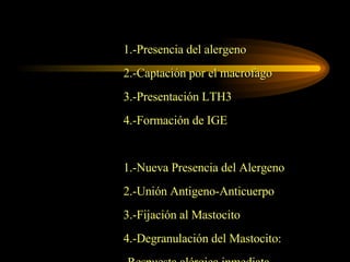 1.-Presencia del alergeno 2.-Captación por el macrofago 3.-Presentación LTH3 4.-Formación de IGE 1.-Nueva Presencia del Alergeno 2.-Unión Antigeno-Anticuerpo 3.-Fijación al Mastocito 4.-Degranulación del Mastocito: -Respuesta alérgica inmediata -Respuesta alérgica tardía