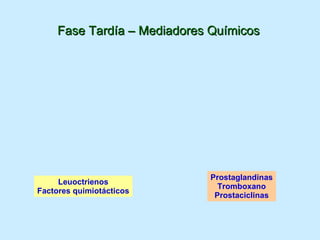 Leuoctrienos Factores quimiotácticos Prostaglandinas Tromboxano Prostaciclinas Fase Tardía – Mediadores Químicos 