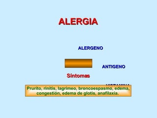 ALERGIA ALERGENO ANTIGENO HISTAMINA Síntomas Prurito, rinitis, lagrimeo, broncoespasmo, edema, congestión, edema de glotis, anafilaxia.  