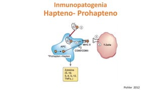 Inmunopatogenia
Hapteno- Prohapteno
Pichler 2012
 