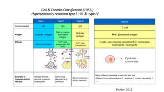 Gell & Coombs Classification (1967!)
Hypersensitivity reactions type I – III & type IV
Type I Type II Type III
Immune reactant IgE IgG IgG
Antigen Soluble antigen
Cell- or matrix-
associated
antigen
Soluble
antigen
Effector
Mast-cell activation
FcR+ cells
(phagocytes, NK
cells)
FcR+ cells
Complement
Example of
hypersen-sitivity
reaction
Allergic Rhinitis,
asthma, systemic
anaphylaxis
Some drug
allergies (e.g.,
penicillin)
Serum sickness,
Arthus reaction
Ag
platelet
s
blood
vessel
immune
complexAb - platelet
Type IV
T cell
MHC-presented antigen
T-cells, via cytokines recruitment of monocytes,
eosinophils, neutrophils
Many different diseases: tuberculin skin test
different forms of exanthema ?, eczema ?, contact dermatitis ?
…..
Cytokines
cytotoxicity
Pichler 2012
 