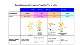 Delayed hypersensitivity reactions Type IV a, IV b, IV c, IV d
Type IV a Type IV b Type IV c Type IV d
Immune reactant TH1 cells TH2 cells CTL PMN
Effector
Macrophage Eosinophils T cells PMN
Example of hypersen-
sitivity reaction
Contact dermatitis,
tuberculin reaction
Chronic asthma, chronic
allergic rhinitis, maculo-
papular exanthema with
eosinophilia, atopic
dermatitis
Contact dermatitis
Maculopapular and bullous
exanthema
AGEP
Behçet diseae
IFN- TH1
chemokines,
cytokines,
cytotoxins
cytokines,
inflammatory
mediators
TH2
IL-4
IL-5
eotaxin
CTL
PMN
CXCL8
GM-CSF
Cytokines, Inflammatory
mediators
Perforin/granzymeB,
granulysin & FasL
dependent killing
 