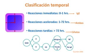 Clasificación temporal
• Reacciones inmediatas: 0-1 hrs.
• Reacciones aceleradas: 1-72 hrs.
• Reacciones tardías: > 72 hrs.
Guzmán 2004
IgE
Células
Ambas
RAM
A
B HS Pseudo
A
Alérgicas IgE
No-IgE
 
