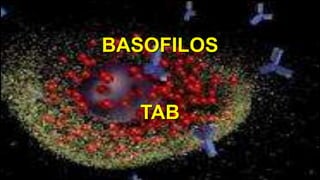 COMO SE Dx ALERGIAS
2°PRUEBAS
CUTANEAS
Ig E Sérica
1° HISTORIA
CLINICA
3°PRUEBAS DE PROVOCACION
TEST DE ACTIVACION BASOFILOS
BASOFILOS
TAB
 