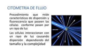 CITOMETRIA DE FLUJO
Procedimiento que mide
características de dispersión y
fluorescencia que poseen las
células conforme pasan por
un rayo de luz
Las células interaccionan con
un rayo de luz causando
dispersión dependiendo del
tamaño y la complejidad
 