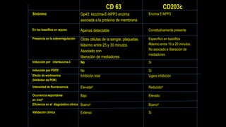CD 63 CD203c
Sinónimo Gp43: lisozima-E-NPP3 enzima
asociada a la proteína de membrana
Enzima E-NPP3
En los basófilos en reposo Apenas detectable Constitutivamente presente
Presencia en la sobrerregulación Otras células de la sangre, plaquetas.
Máximo entre 25 y 30 minutos.
Asociado con
liberación de mediadores
Específico en basófilos
Máximo entre 10 a 20 minutos.
No asociado a liberación de
mediadores.
Inducción por interleucina-3 No Si
Inducción por PGD2 No Si
Efecto de wortmanina
(Inhibidor de PI3K)
Inhibición total Ligera inhibición
Intensidad de fluorescencia Elevadaa Reducidoa
Ocurrencia espontánea
en vivob
Bajo Elevado
Eficiencia en el diagnóstico clínico Buenoa Buenoa
Validación clínica Extenso Si
 