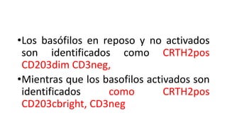 •Los basófilos en reposo y no activados
son identificados como CRTH2pos
CD203dim CD3neg,
•Mientras que los basofilos activados son
identificados como CRTH2pos
CD203cbright, CD3neg
 