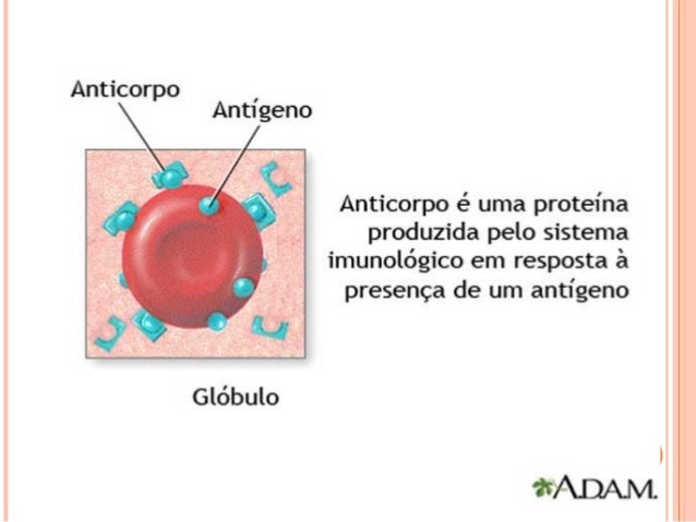 Exame de sangue para alergia alimentar
