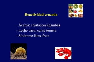 Reactividad cruzada
- Ácaros: crustáceos (gamba)
- Leche vaca: carne ternera
- Síndrome látex-fruta
 