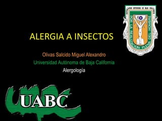 ALERGIA A INSECTOS
    Olivas Salcido Miguel Alexandro
Universidad Autónoma de Baja California
              Alergología
 