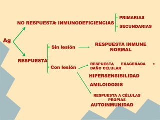 NO RESPUESTA
RESPUESTA
Ag
: INMUNODEFICIENCIAS
• Con lesión
• Sin lesión
RESPUESTA INMUNE
NORMAL
RESPUESTA EXAGERADA +
DAÑO CELULAR
AMILOIDOSIS
HIPERSENSIBILIDAD
RESPUESTA A CÉLULAS
PROPIAS
AUTOINMUNIDAD
• PRIMARIAS
• SECUNDARIAS
 