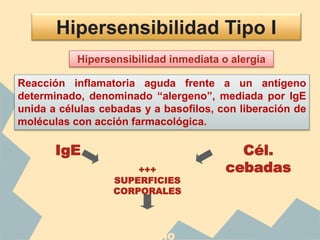 Hipersensibilidad Tipo I
Hipersensibilidad inmediata o alergia
Reacción inflamatoria aguda frente a un antígeno
determinado, denominado “alergeno”, mediada por IgE
unida a células cebadas y a basofilos, con liberación de
moléculas con acción farmacológica.
IgE Cél.
cebadas+++
SUPERFICIES
CORPORALES
Vía de entrada más
común del
ALERGENO
 