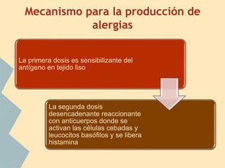 Mecanismo para la producción de
alergias
La primera dosis es sensibilizante del
antígeno en tejido liso
La segunda dosis
desencadenante reaccionante
con anticuerpos donde se
activan las células cebadas y
leucocitos basófilos y se libera
histamina
 
