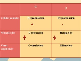a b
Células cebadas Degranulación Degranulación
Músculo liso Contracción Relajación
Vasos
sanguíneos
Constricción Dilatación
+ -
 