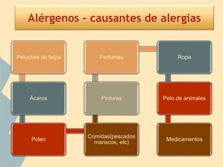 Alérgenos - causantes de alergias
Peluches de felpa
Ácaros
Polen
Comidas(pescados
mariscos, etc)
Pinturas
Perfumes Ropa
Pelo de animales
Medicamentos
 