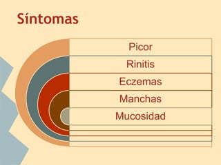 Síntomas
Picor
Rinitis
Eczemas
Manchas
Mucosidad
 