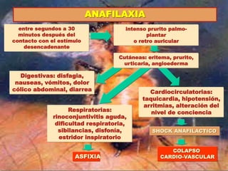 ANAFILAXIA
entre segundos a 30
minutos después del
contacto con el estímulo
desencadenante
intenso prurito palmo-
plantar
o retro auricular
Cardiocirculatorias:
taquicardia, hipotensión,
arritmias, alteración del
nivel de concienciaRespiratorias:
rinoconjuntivitis aguda,
dificultad respiratoria,
sibilancias, disfonía,
estridor inspiratorio
Digestivas: disfagia,
nauseas, vómitos, dolor
cólico abdominal, diarrea
SHOCK ANAFILACTICO
COLAPSO
CARDIO-VASCULARASFIXIA
Cutáneas: eritema, prurito,
urticaria, angioederma
 