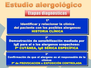 1ª
Identificar y relacionar la clínica
del paciente con los posibles alergenos:
HISTORIA CLÍNICA
2ª
Demostración de sensibilización mediada por
IgE para el o los alergenos sospechoso:
Pª CUTÁNEA, IgE SÉRICA ESPECÍFICA
3ª
Confirmación de que el alergeno es el responsable de la
clínica:
Pª de PROVOCACION o EXPOSICIÓN CONTROLADA
 