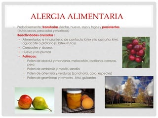 ALERGIA ALIMENTARIA
• Probablemente: transitorias (leche, huevo, soja y trigo) y persistentes
(frutos secos, pescados y mariscos)
• Reactividades cruzadas :
• Alimentarios e inhalantes o de contacto látex y la castaña, kiwi,
aguacate o plátano (s. látex-frutas)
• Caracoles y ácaros
• Huevo y las plumas
• Polínicos:
• Polen de abedul y manzana, melocotón, avellana, cerezas,
pera
• Polen de ambrosía y melón, sandía
• Polen de artemisia y verduras (zanahoria, apio, especies)
• Polen de gramíneas y tomates , kiwi, guisantes
 