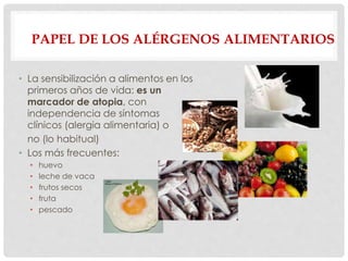 PAPEL DE LOS ALÉRGENOS ALIMENTARIOS
• La sensibilización a alimentos en los
primeros años de vida: es un
marcador de atopia, con
independencia de síntomas
clínicos (alergia alimentaria) o
no (lo habitual)
• Los más frecuentes:
• huevo
• leche de vaca
• frutos secos
• fruta
• pescado
 