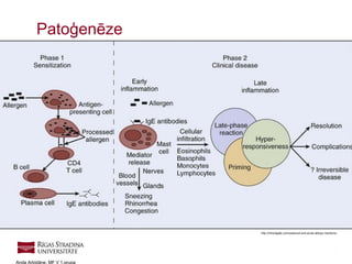 7
Anda Arbidāne, MF V 1.grupa
Patoģenēze
http://clinicalgate.com/seasonal-and-acute-allergic-reactions/
 