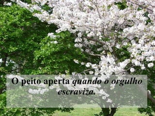 O peito aperta  quando o orgulho escraviza.   