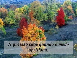 A pressão sobe  quando o medo aprisiona.    