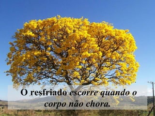 O resfriado  escorre quando o corpo não chora. 