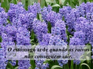 O estô mago arde  quando as raivas não conseguem sair.   