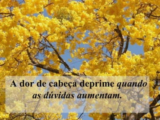   A dor de cabeça deprime  quando as dúvidas aumentam.   