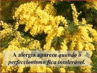 A alergia aparece  quando o perfeccionismo fica intolerável.   