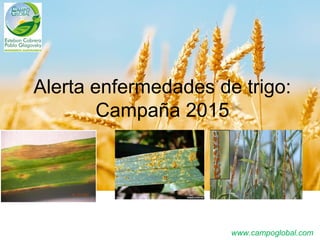 www.campoglobal.com
Alerta enfermedades de trigo:
Campaña 2015
 