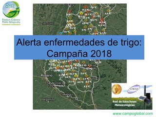 www.campoglobal.com
Alerta enfermedades de trigo:
Campaña 2018
 