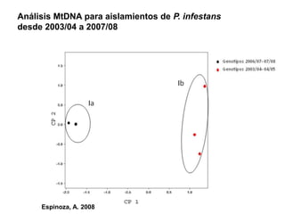 Sistemas de alerta temprana de enfermedades en el cultivo de papa:  Usos y proyecciones para la adaptación 