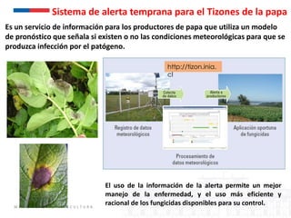 Sistemas de alerta temprana de enfermedades en el cultivo de papa:  Usos y proyecciones para la adaptación 