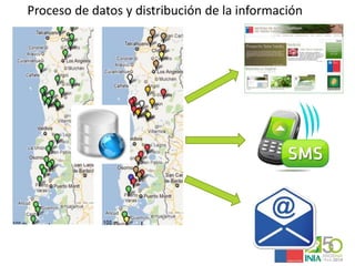 Sistemas de alerta temprana de enfermedades en el cultivo de papa:  Usos y proyecciones para la adaptación 