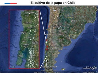 Sistemas de alerta temprana de enfermedades en el cultivo de papa:  Usos y proyecciones para la adaptación 