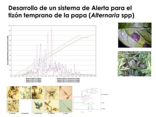Sistemas de alerta temprana de enfermedades en el cultivo de papa:  Usos y proyecciones para la adaptación 