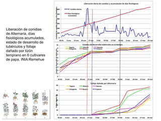 Sistemas de alerta temprana de enfermedades en el cultivo de papa:  Usos y proyecciones para la adaptación 