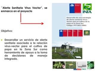 Sistemas de alerta temprana de enfermedades en el cultivo de papa:  Usos y proyecciones para la adaptación 