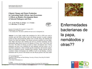 Sistemas de alerta temprana de enfermedades en el cultivo de papa:  Usos y proyecciones para la adaptación 