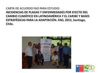 Sistemas de alerta temprana de enfermedades en el cultivo de papa:  Usos y proyecciones para la adaptación 