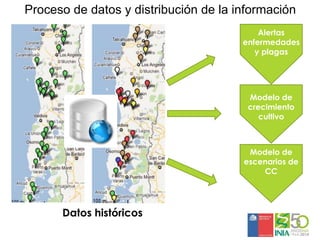 Sistemas de alerta temprana de enfermedades en el cultivo de papa:  Usos y proyecciones para la adaptación 