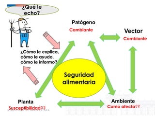 Sistemas de alerta temprana de enfermedades en el cultivo de papa:  Usos y proyecciones para la adaptación 