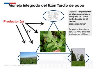 Sistemas de alerta temprana de enfermedades en el cultivo de papa:  Usos y proyecciones para la adaptación 