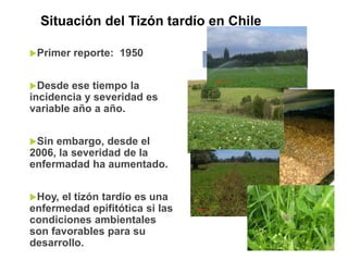 Sistemas de alerta temprana de enfermedades en el cultivo de papa:  Usos y proyecciones para la adaptación 