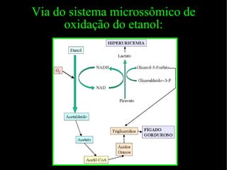 Via do sistema microssômico de oxidação do etanol: 