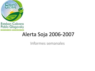 Alerta Soja 2006-2007
   Informes semanales
 